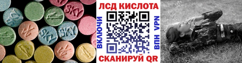 как найти закладки  Зубцов  Лсд 25 экстази кислота 
