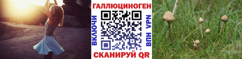 купить закладку  darknet Telegram  Псилоцибиновые грибы ЛСД  Зубцов 